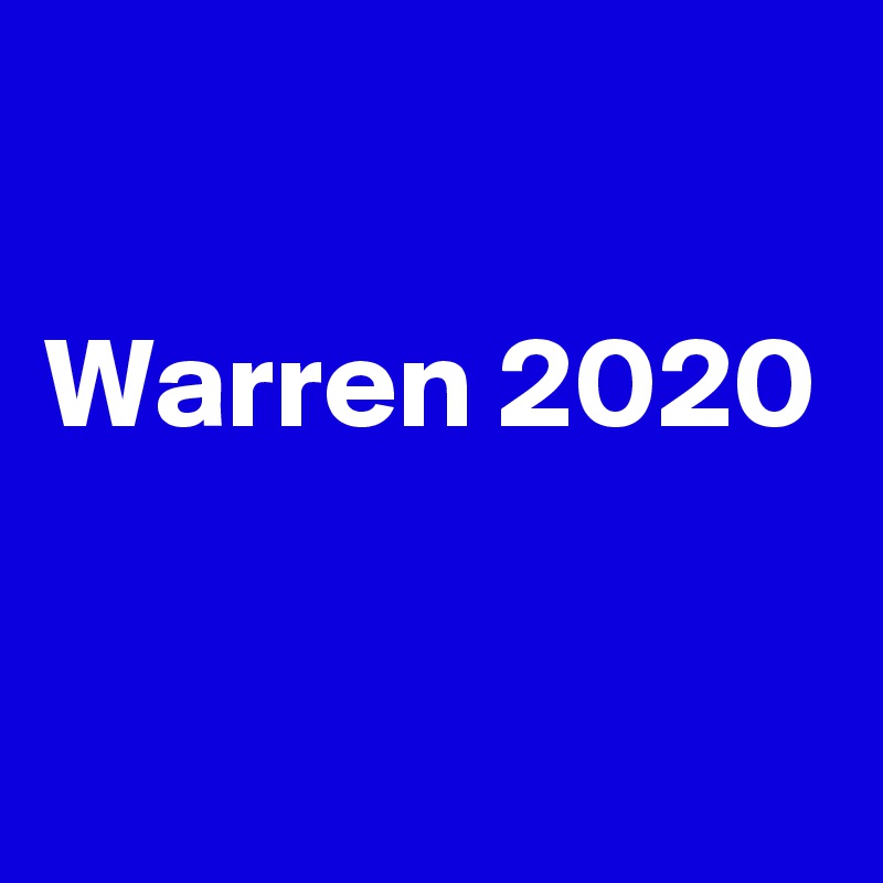 

Warren 2020

