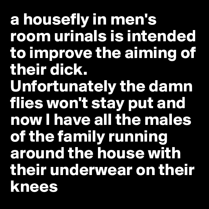 a housefly in men's room urinals is intended to improve the aiming of their dick. 
Unfortunately the damn flies won't stay put and now I have all the males of the family running around the house with their underwear on their knees