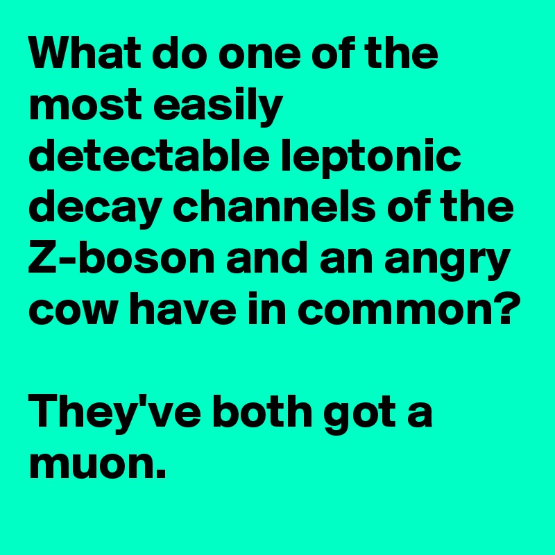 What do one of the most easily detectable leptonic decay channels of the Z-boson and an angry cow have in common?

They've both got a muon.