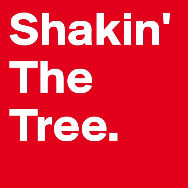 Shakin'
The
Tree. 