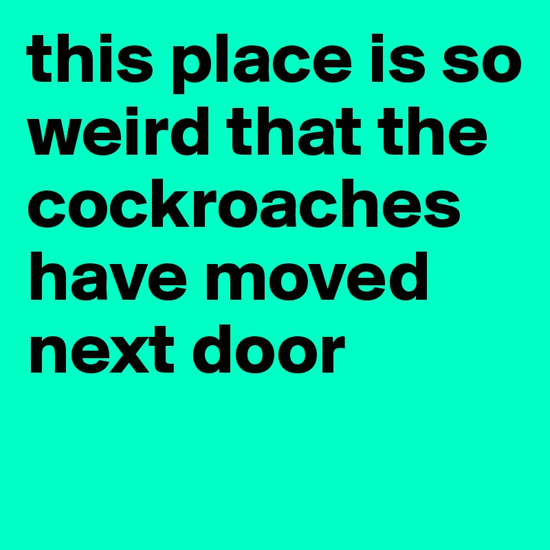 this place is so weird that the cockroaches have moved next door
