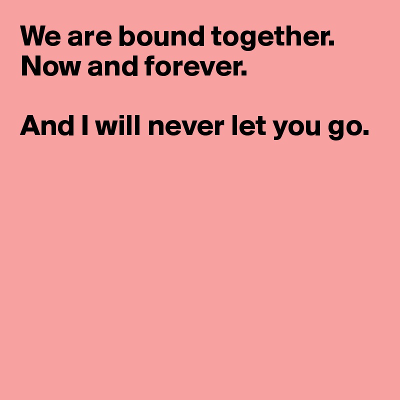 We are bound together. 
Now and forever. 

And I will never let you go.







