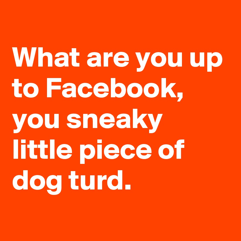 
What are you up to Facebook, you sneaky little piece of dog turd.
