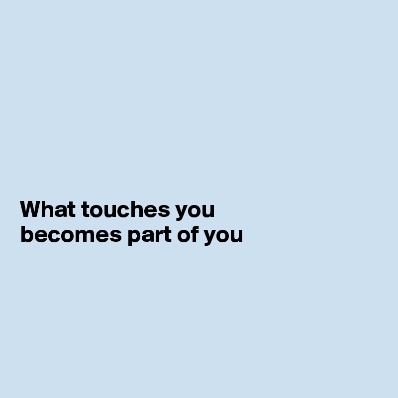






What touches you 
becomes part of you




