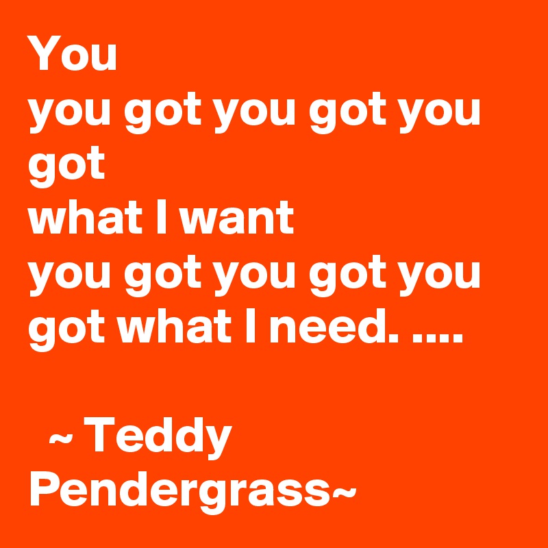 You
you got you got you got
what I want
you got you got you got what I need. ....

  ~ Teddy Pendergrass~