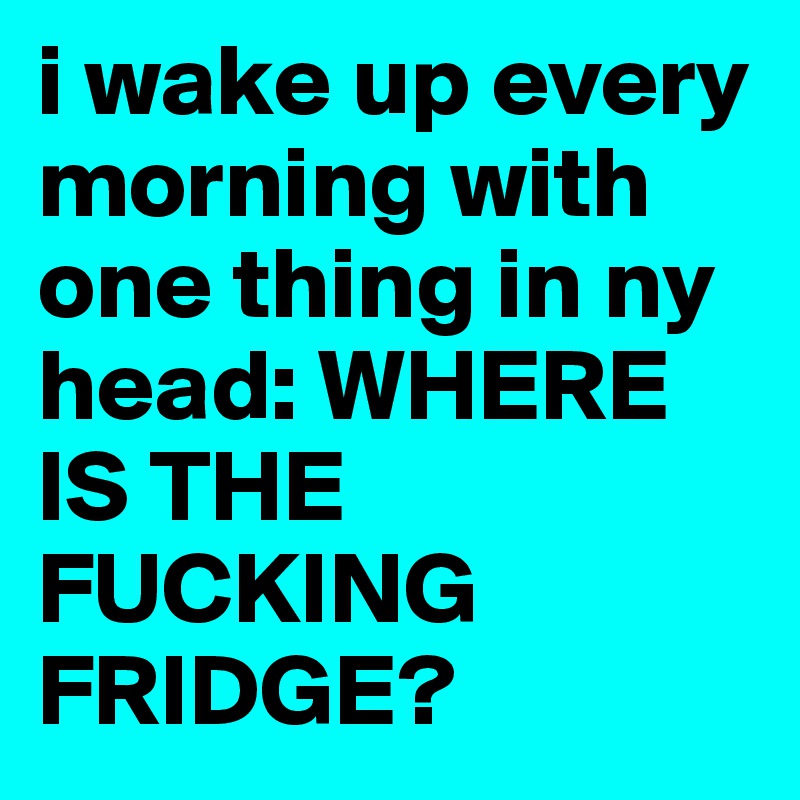 i wake up every morning with one thing in ny head: WHERE IS THE FUCKING FRIDGE?