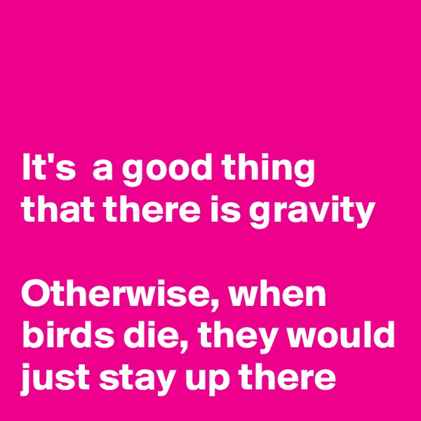 


It's  a good thing that there is gravity

Otherwise, when birds die, they would just stay up there