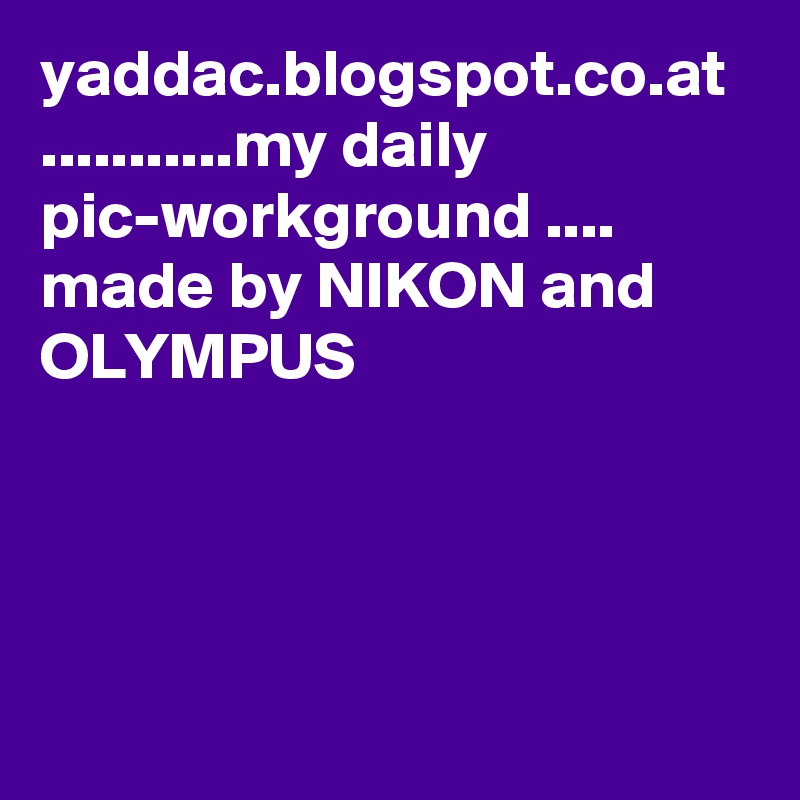 yaddac.blogspot.co.at ...........my daily pic-workground .... made by NIKON and OLYMPUS