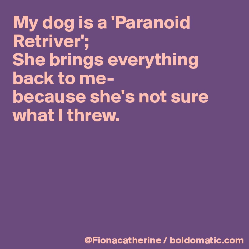 My dog is a 'Paranoid Retriver';
She brings everything
back to me-
because she's not sure
what I threw.





