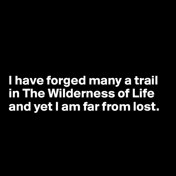 




I have forged many a trail in The Wilderness of Life and yet I am far from lost.



