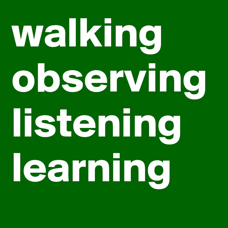 walking
observing
listening
learning 