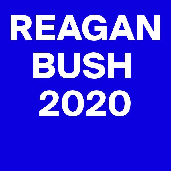 REAGAN
   BUSH
    2020