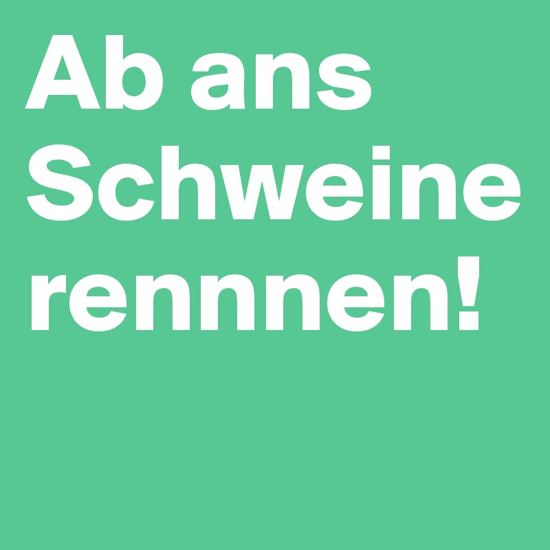 Ab ans Schweinerennnen! 
