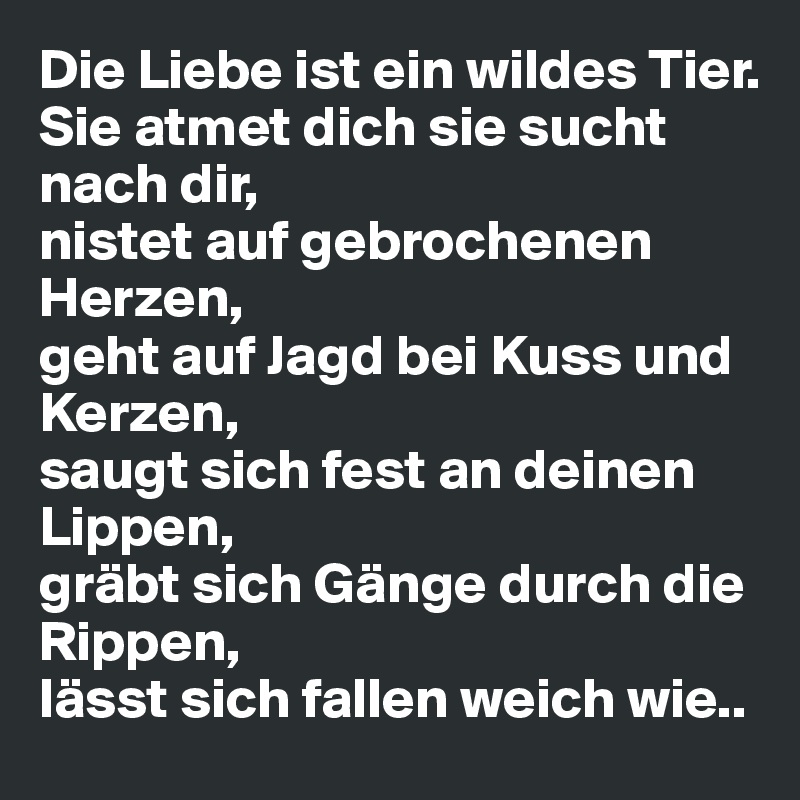 Liebe sie sucht Sie