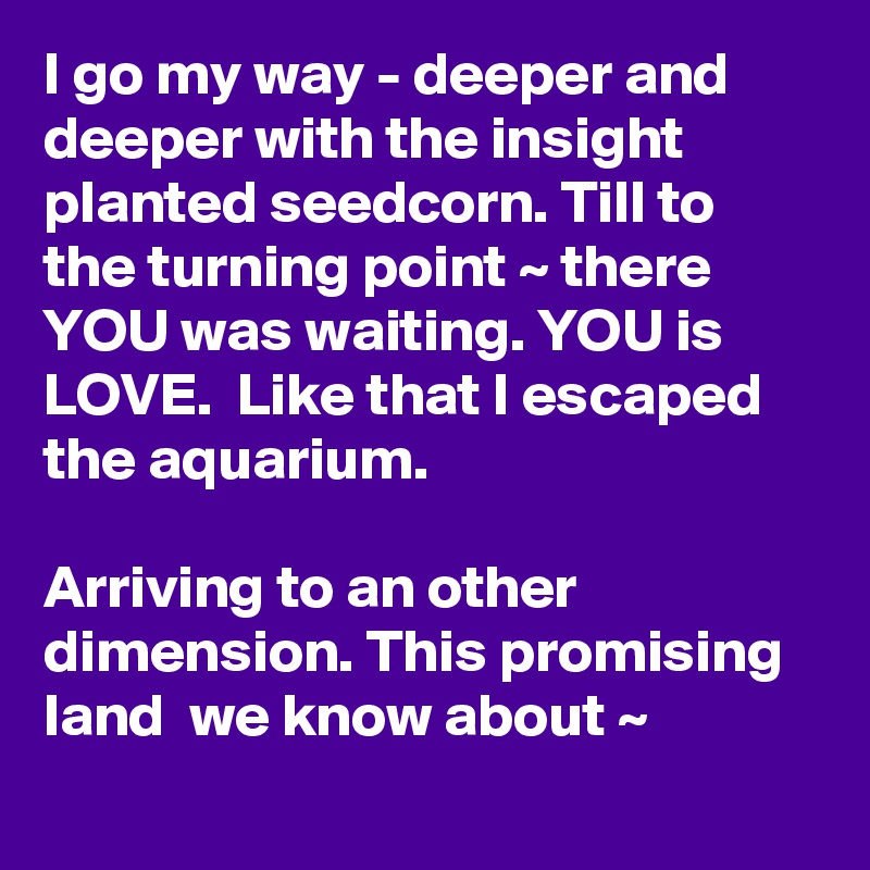 I go my way - deeper and deeper with the insight planted seedcorn. Till to the turning point ~ there YOU was waiting. YOU is LOVE.  Like that I escaped the aquarium.

Arriving to an other dimension. This promising  land  we know about ~ 
 
