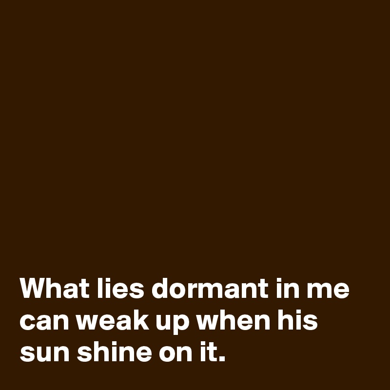 







What lies dormant in me can weak up when his sun shine on it. 