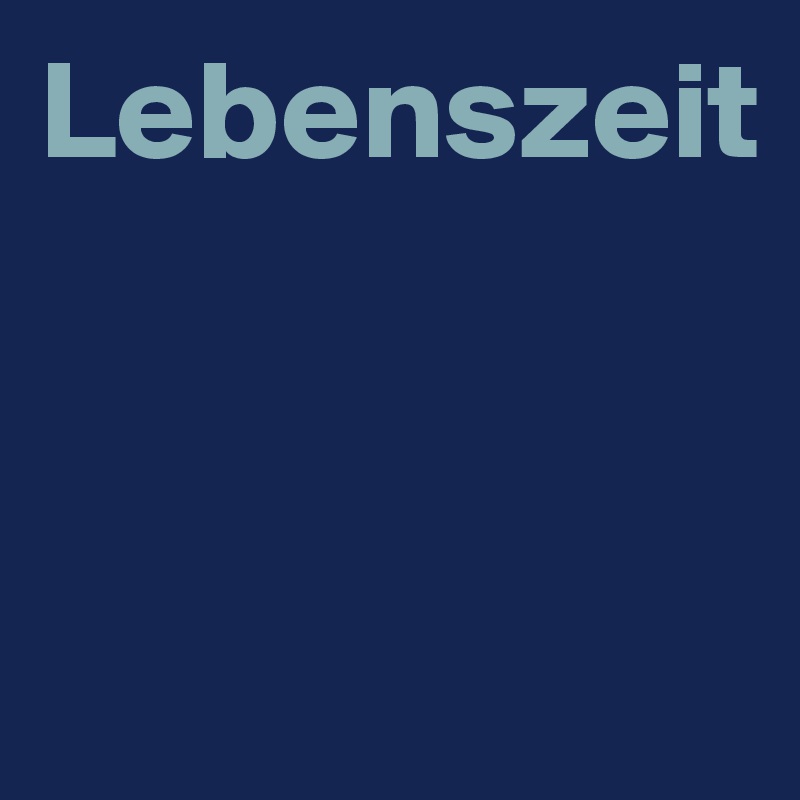 Lebenszeit



