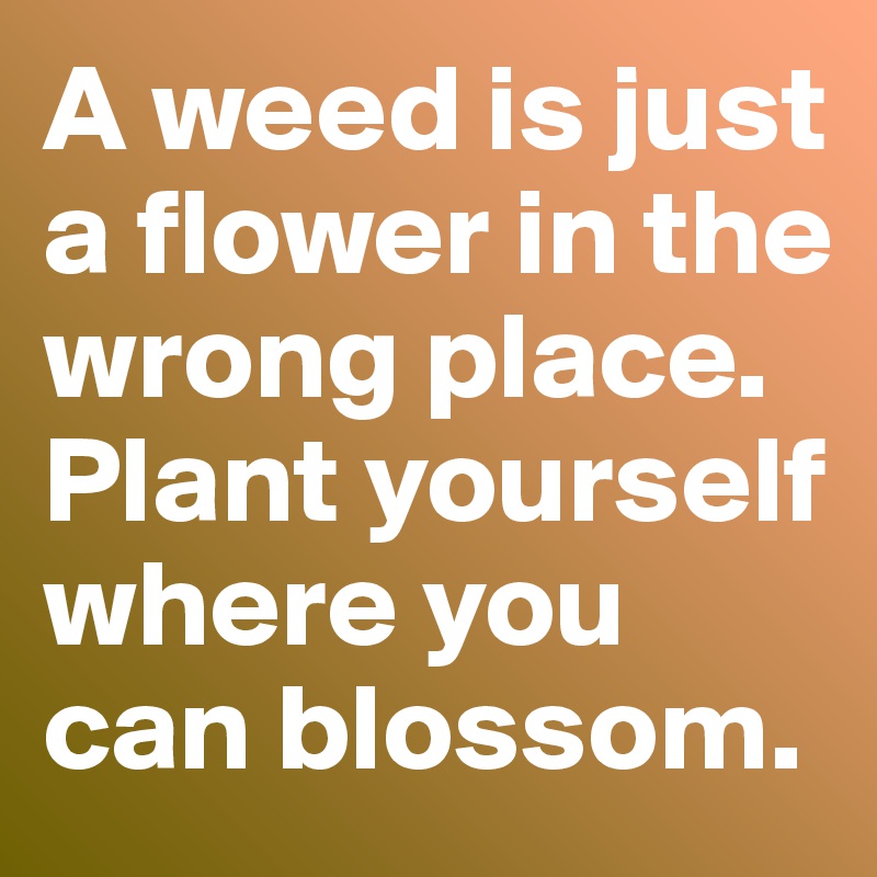 A weed is just a flower in the wrong place.  Plant yourself where you can blossom.