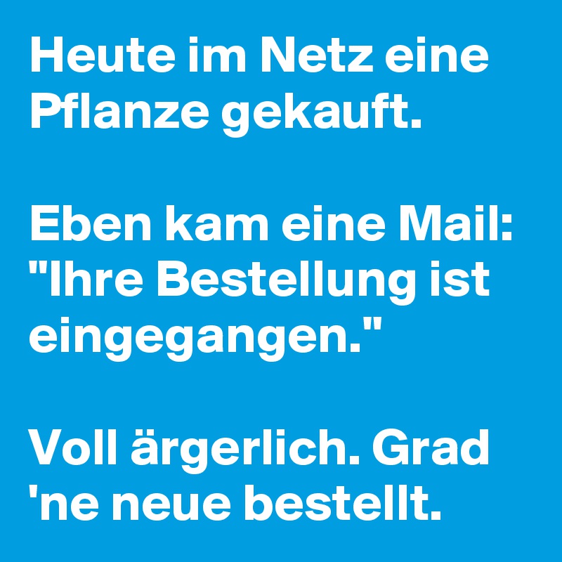 Heute im Netz eine Pflanze gekauft.

Eben kam eine Mail: "Ihre Bestellung ist eingegangen."

Voll ärgerlich. Grad 'ne neue bestellt.