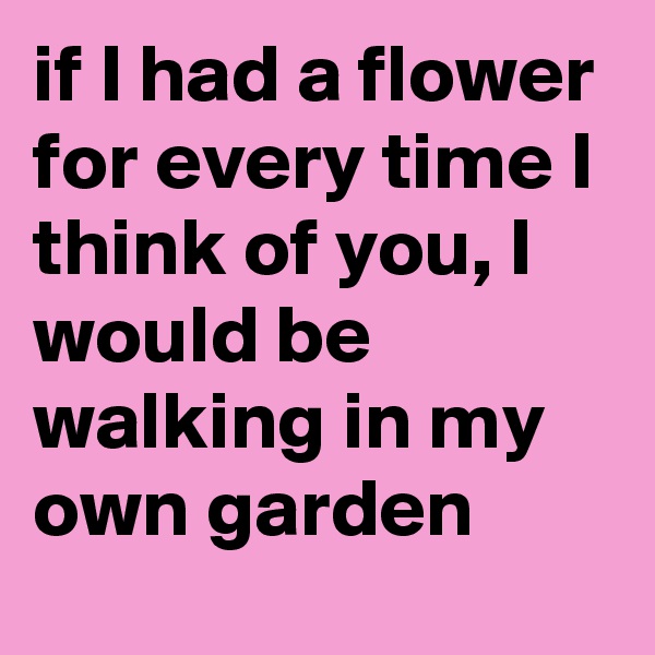 if I had a flower for every time I think of you, I would be walking in my own garden