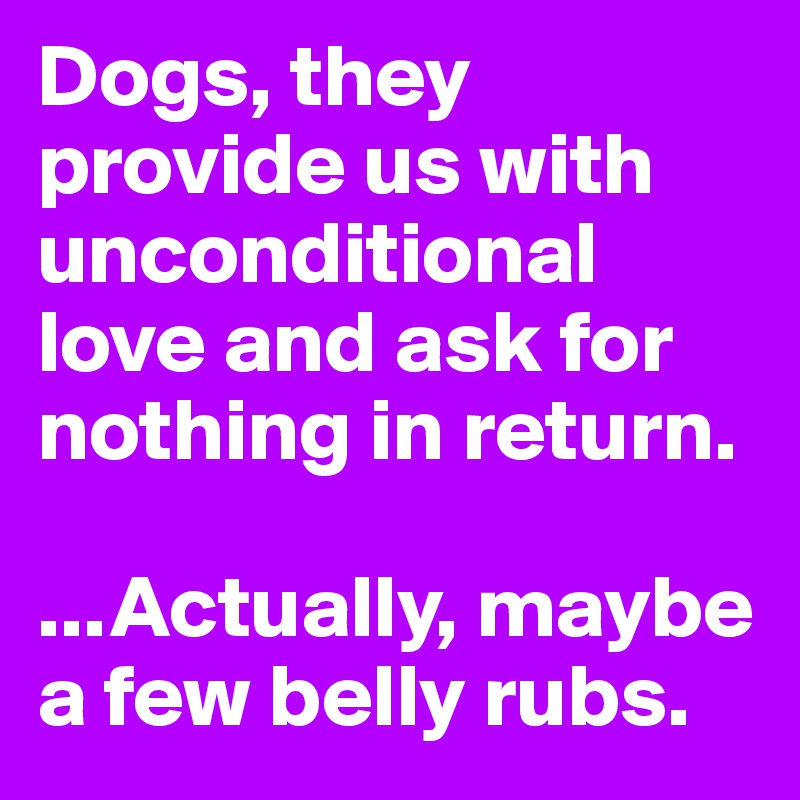 Dogs, they provide us with unconditional love and ask for nothing in return.

...Actually, maybe a few belly rubs. 