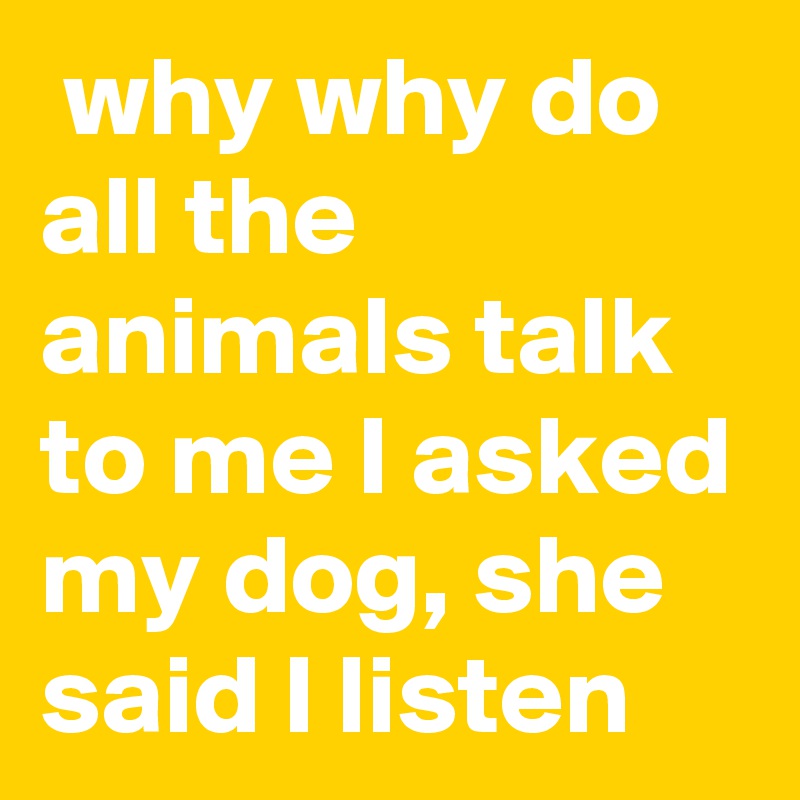  why why do all the animals talk to me I asked my dog, she said I listen