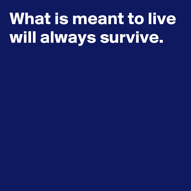 What is meant to live will always survive.







