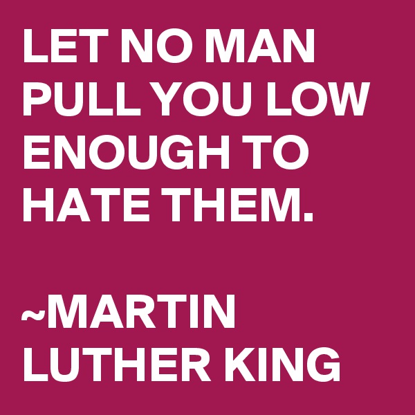 LET NO MAN PULL YOU LOW ENOUGH TO HATE THEM.

~MARTIN LUTHER KING