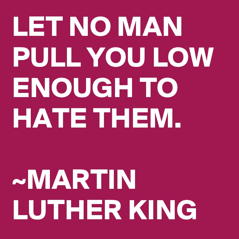 LET NO MAN PULL YOU LOW ENOUGH TO HATE THEM.

~MARTIN LUTHER KING
