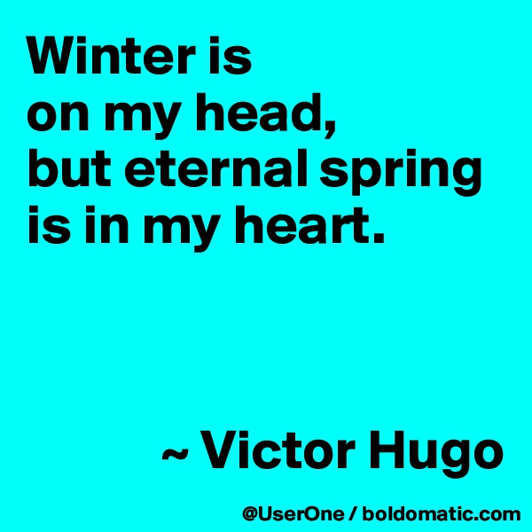 Winter is
on my head,
but eternal spring is in my heart.



            ~ Victor Hugo