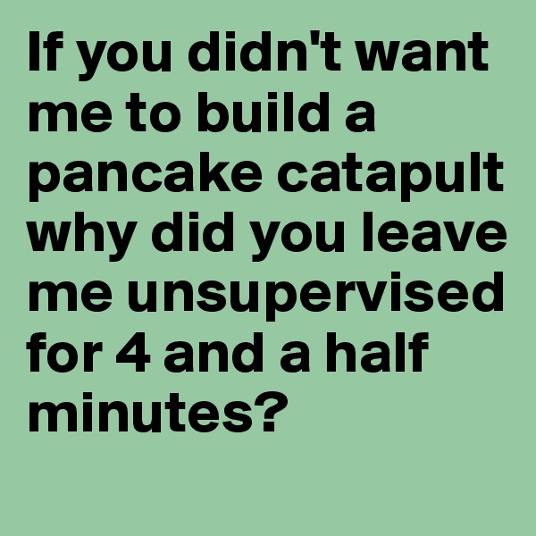 If you didn't want me to build a pancake catapult why did you leave me unsupervised for 4 and a half minutes?