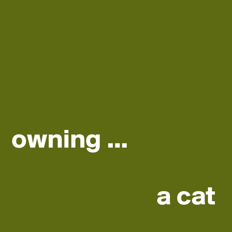 



owning ...

                           a cat