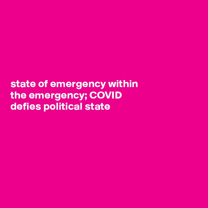 





state of emergency within 
the emergency; COVID 
defies political state






