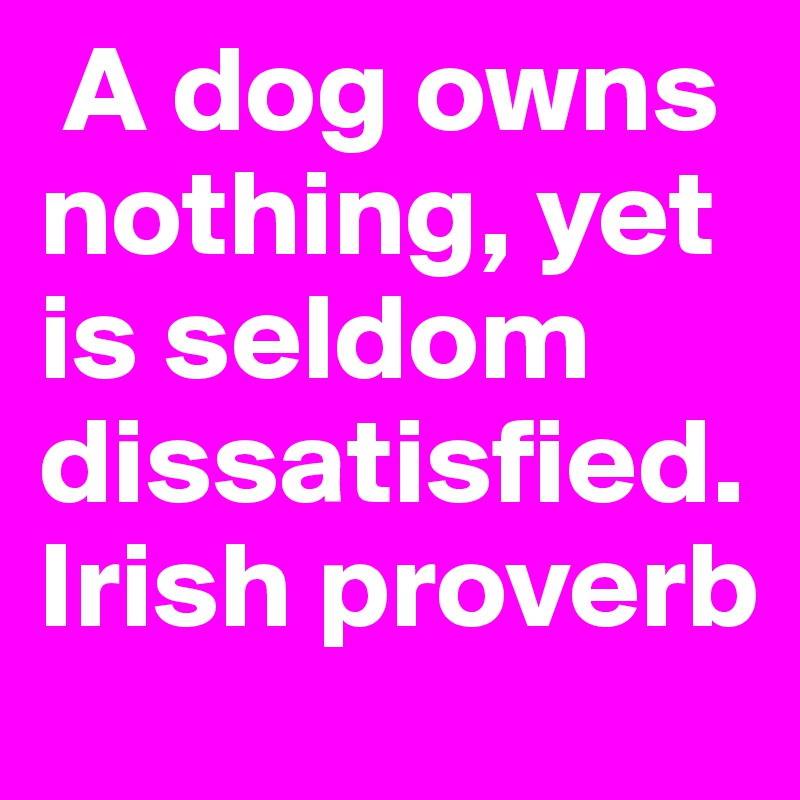 A dog owns nothing, yet is seldom dissatisfied.                   Irish proverb 