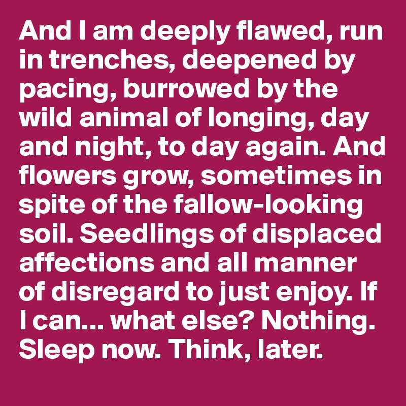 And I am deeply flawed, run in trenches, deepened by pacing, burrowed by the wild animal of longing, day and night, to day again. And flowers grow, sometimes in spite of the fallow-looking soil. Seedlings of displaced affections and all manner of disregard to just enjoy. If I can... what else? Nothing.
Sleep now. Think, later.