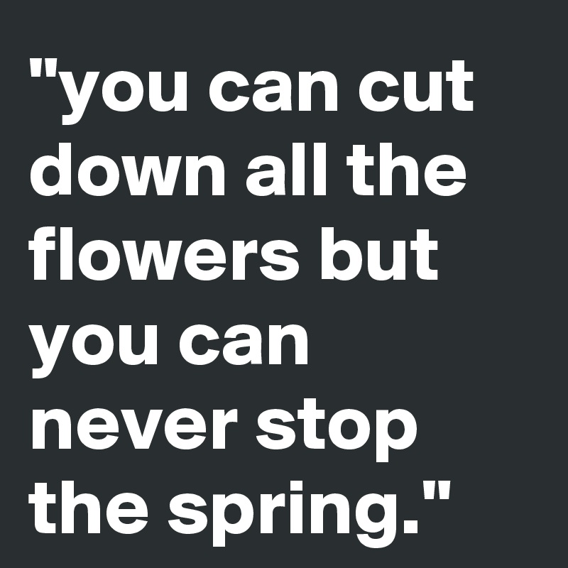 "you can cut down all the flowers but you can never stop the spring."