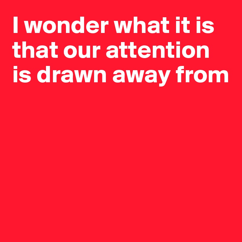 I wonder what it is that our attention is drawn away from




