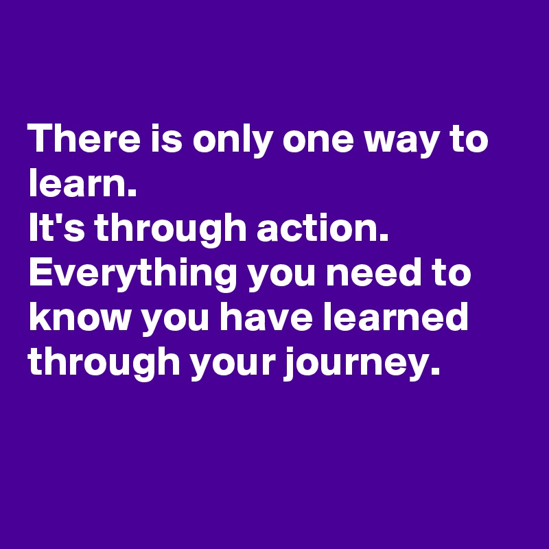 there-is-only-one-way-to-learn-it-s-through-action-everything-you-need-to-know-you-have