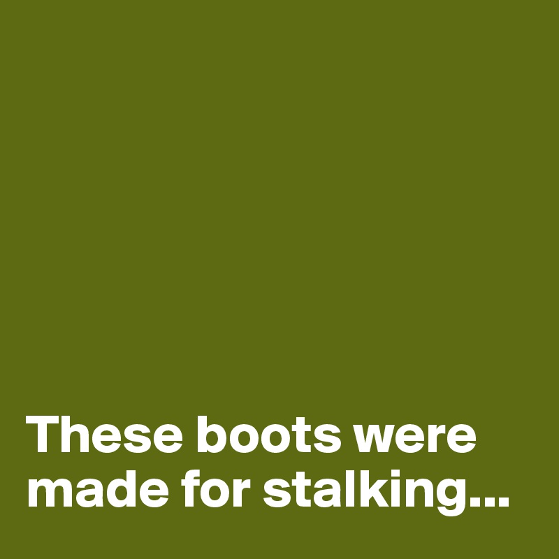 






These boots were made for stalking...