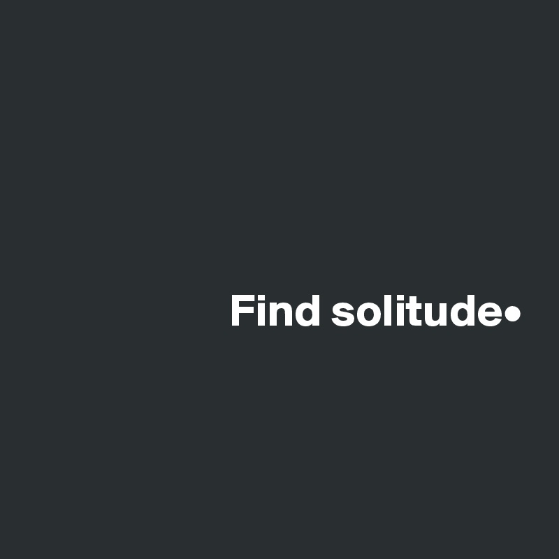 




Find solitude•



