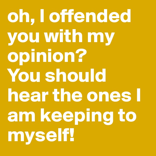 oh, I offended you with my opinion? 
You should hear the ones I am keeping to myself!