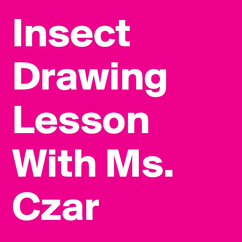 Insect Drawing Lesson With Ms. Czar