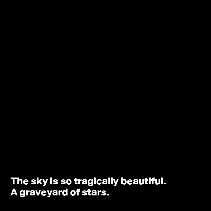 














The sky is so tragically beautiful.
A graveyard of stars.