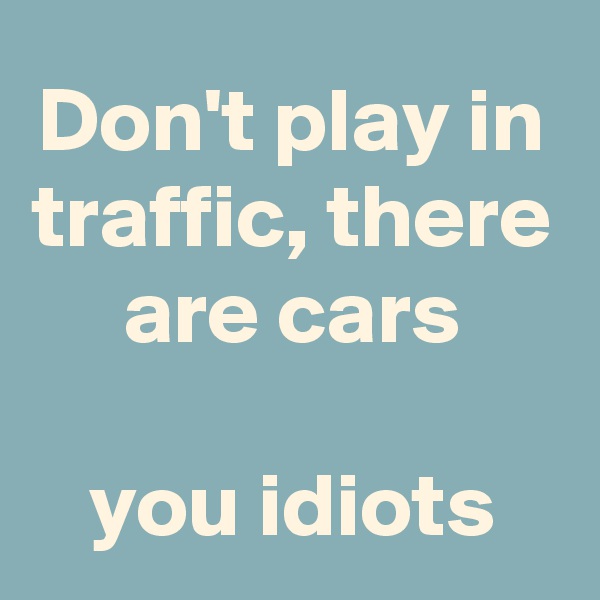Don't play in traffic, there are cars

you idiots