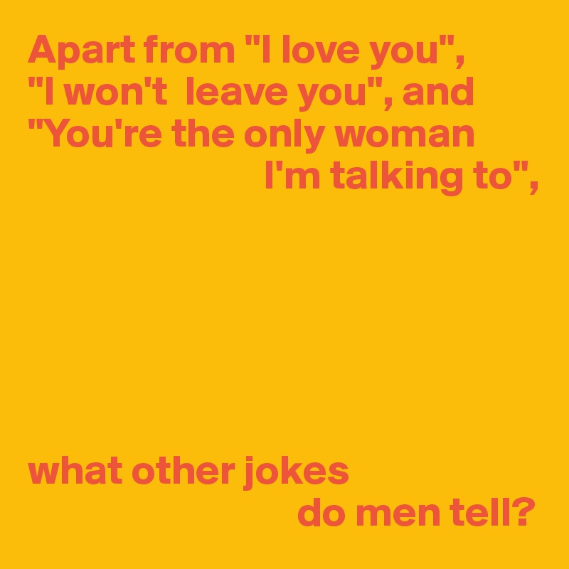 Apart From I Love You I Won T Leave You And You Re The Only Woman I M Talking To What Other Jokes Do Men Tell Post By Userone On Boldomatic