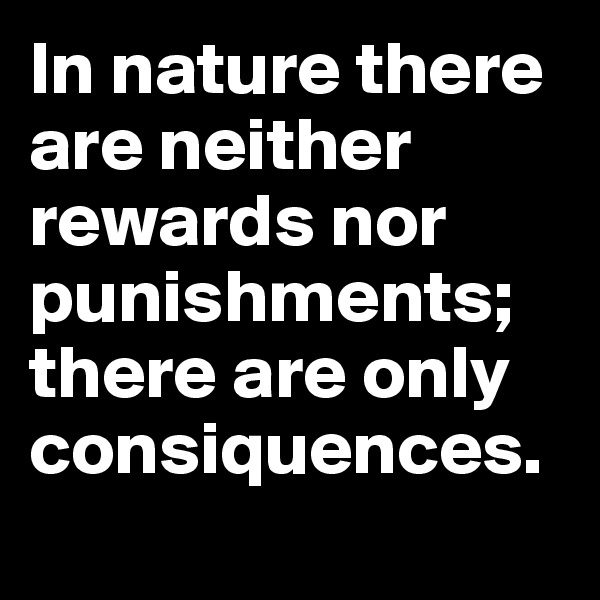 In nature there are neither rewards nor punishments; there are only consiquences.
