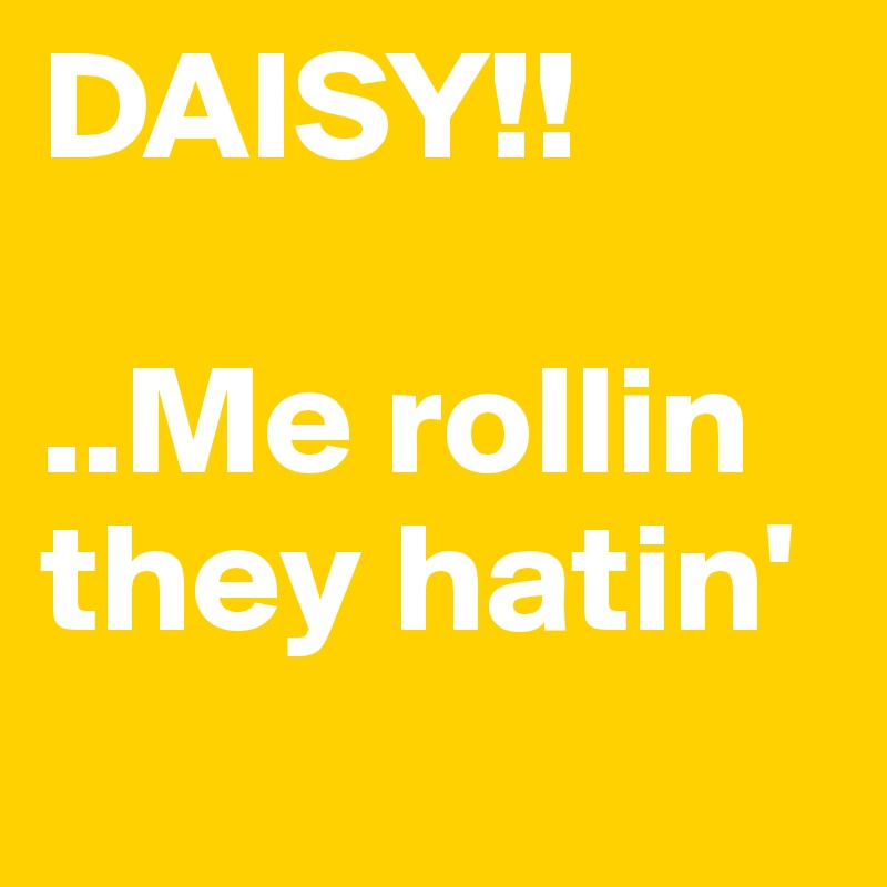 DAISY!!

..Me rollin they hatin'
