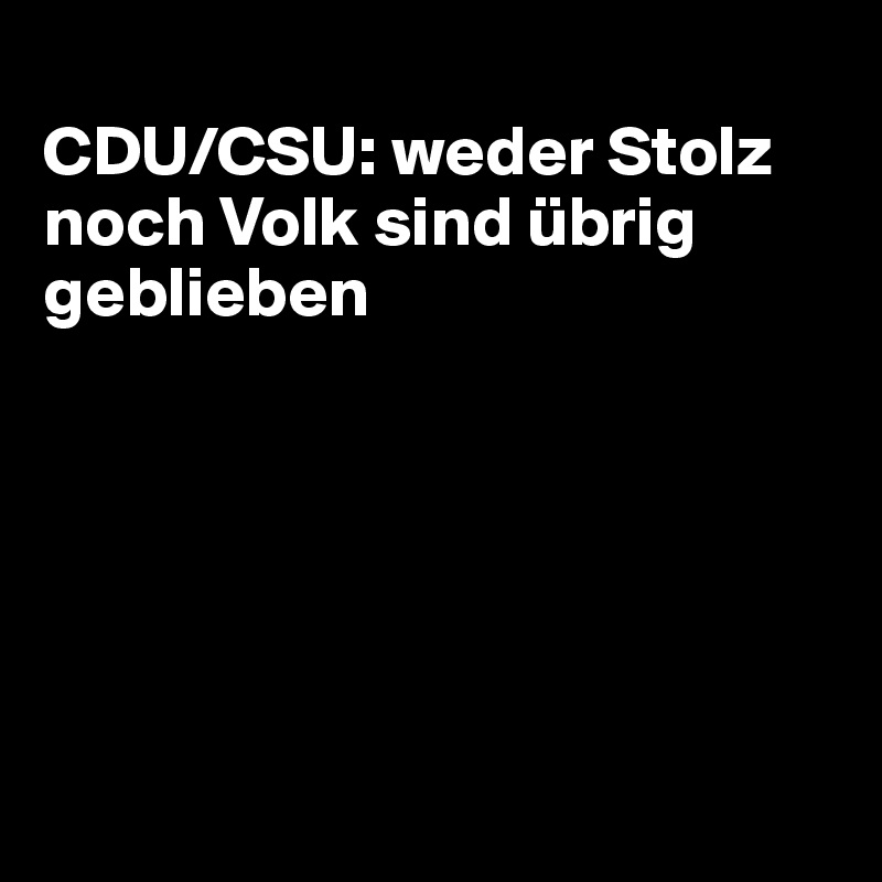 
CDU/CSU: weder Stolz noch Volk sind übrig geblieben






