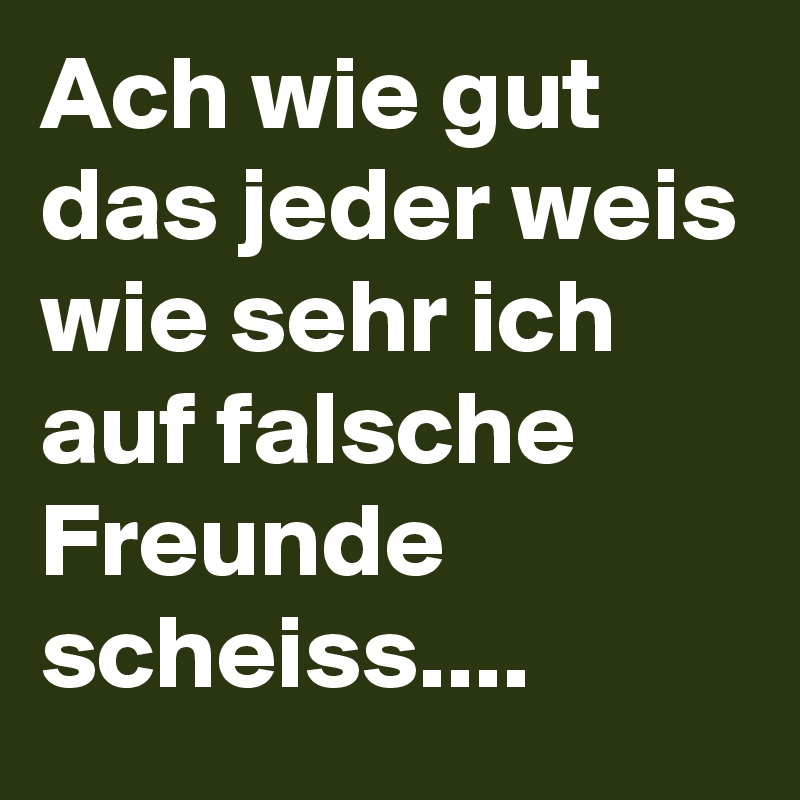 Ach wie gut das jeder weis wie sehr ich auf falsche Freunde scheiss....