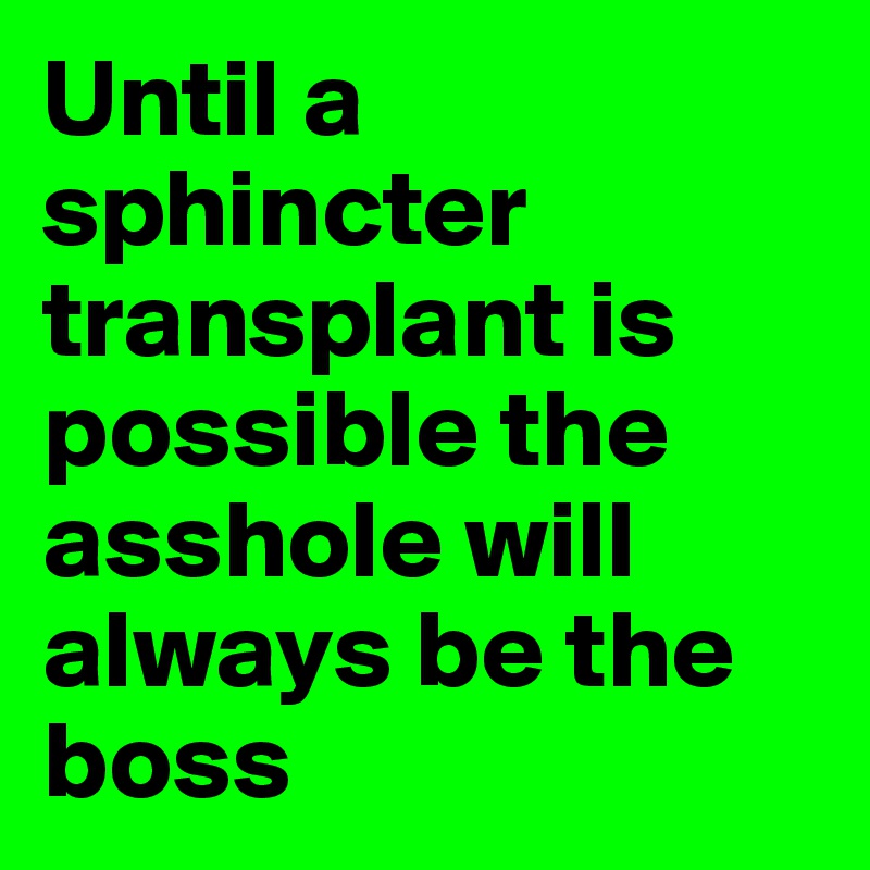 Until a sphincter transplant is possible the asshole will always be the boss 